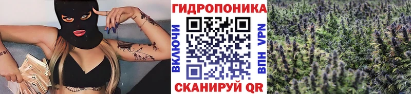 купить   Нижняя Салда  hydra   Бошки Шишки VHQ 